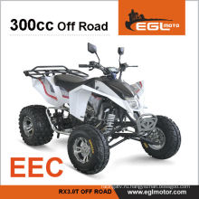 Багги Atv сертификации EEC спорта 300cc